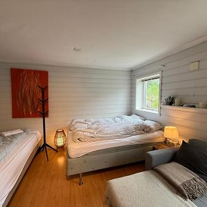 Cosy Apartment With Free Parking